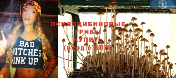 спайс Алексеевка