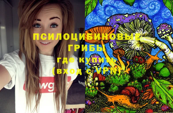 скорость Алзамай